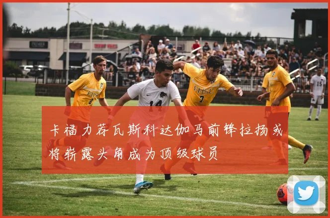 卡福力荐瓦斯科达伽马前锋拉扬或将崭露头角成为顶级球员
