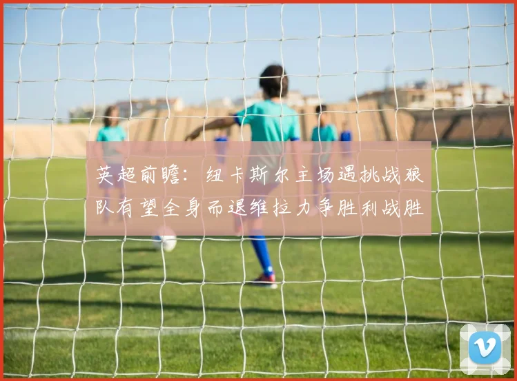 英超前瞻：纽卡斯尔主场遇挑战狼队有望全身而退维拉力争胜利战胜埃弗顿