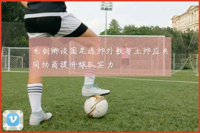 毛剑卿谈国足选帅外教与土帅应共同协商提升球队实力