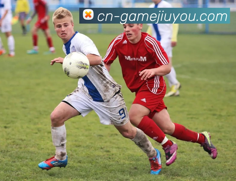 九游娱乐平台生态图